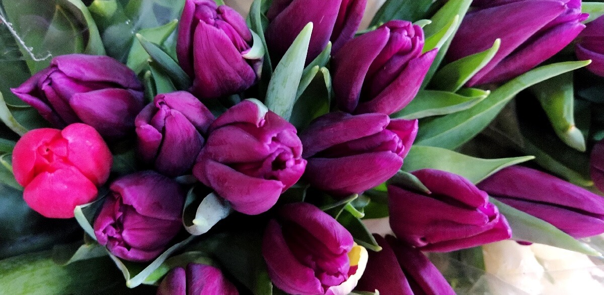 Цветы на 8 марта Барановичи Цветочный Рай